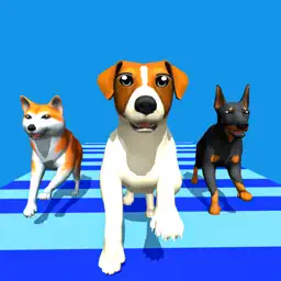 Dog Run Racer - 趣味竞速3D